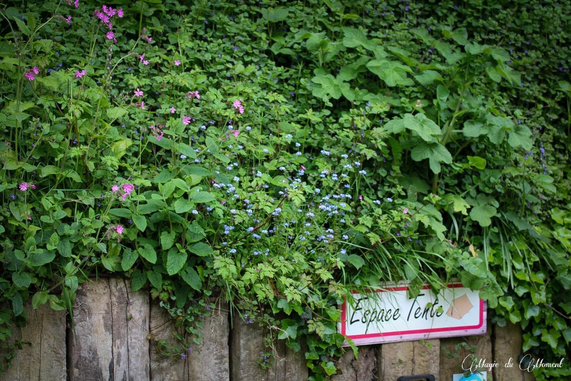 Camping La Sabliere Saint-Jans-Cappel Zewnętrze zdjęcie